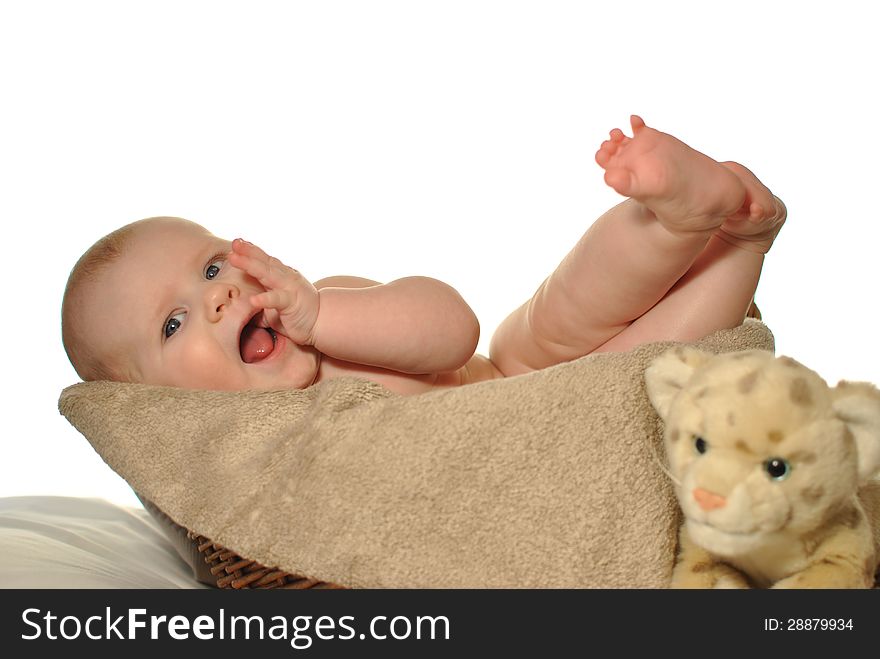 Cute newly-born baby in the basket on white background. Cute newly-born baby in the basket on white background