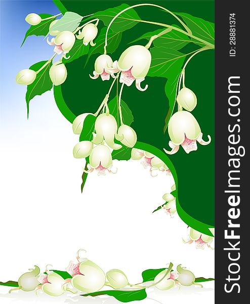 Beautiful spring bells flowers on background. Beautiful spring bells flowers on background