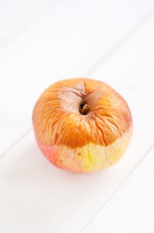 Free Bot Rot Detail Royalty Free Stock Photo - 28891415