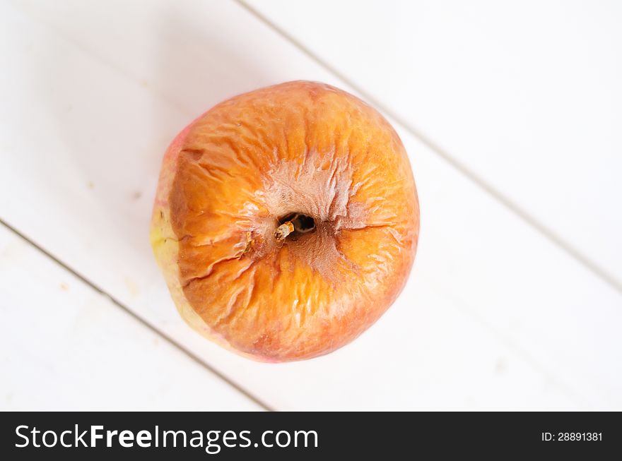 Apple infested with bot rot disease. Apple infested with bot rot disease