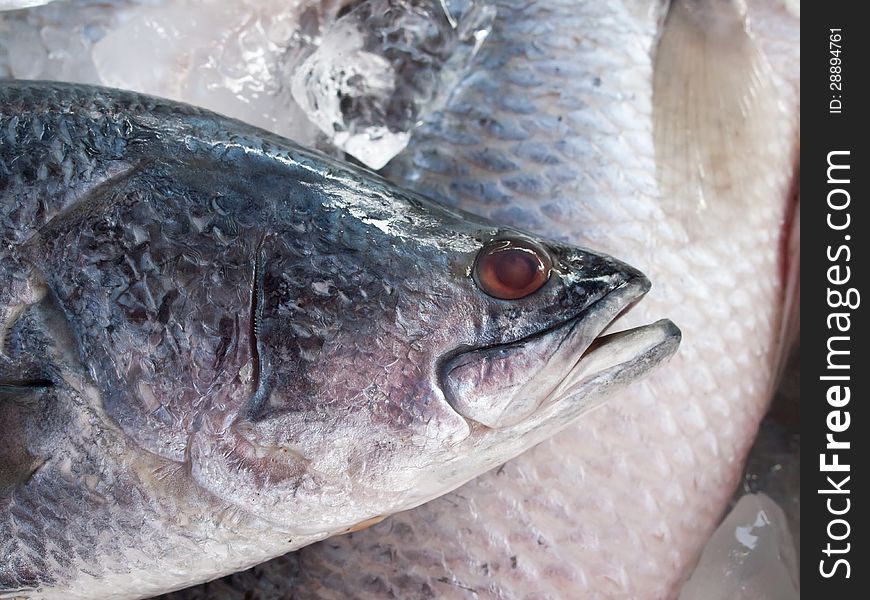 Fresh fish on ice on the market