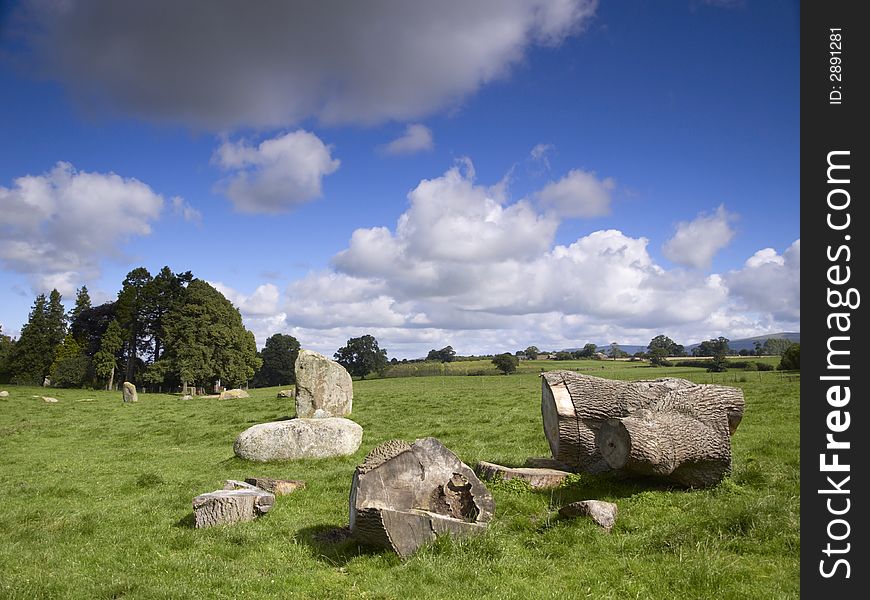 Felled Tree In Stone Circle