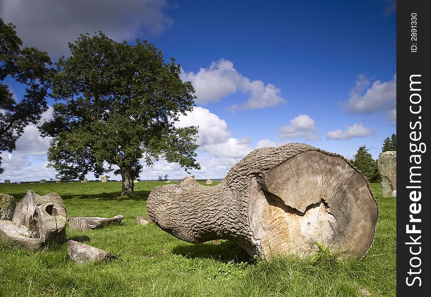 A felled tree at the 'Long Meg and her Daughters' stone circle near Lazonby, Cumbria, England