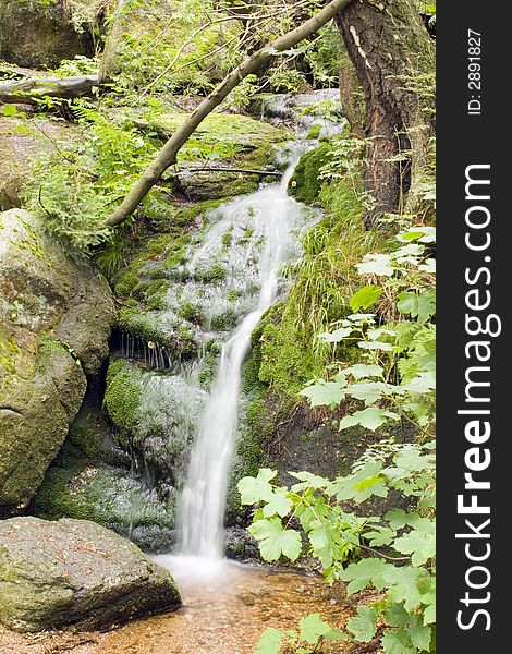 A little stream in the mountain forest. A little stream in the mountain forest