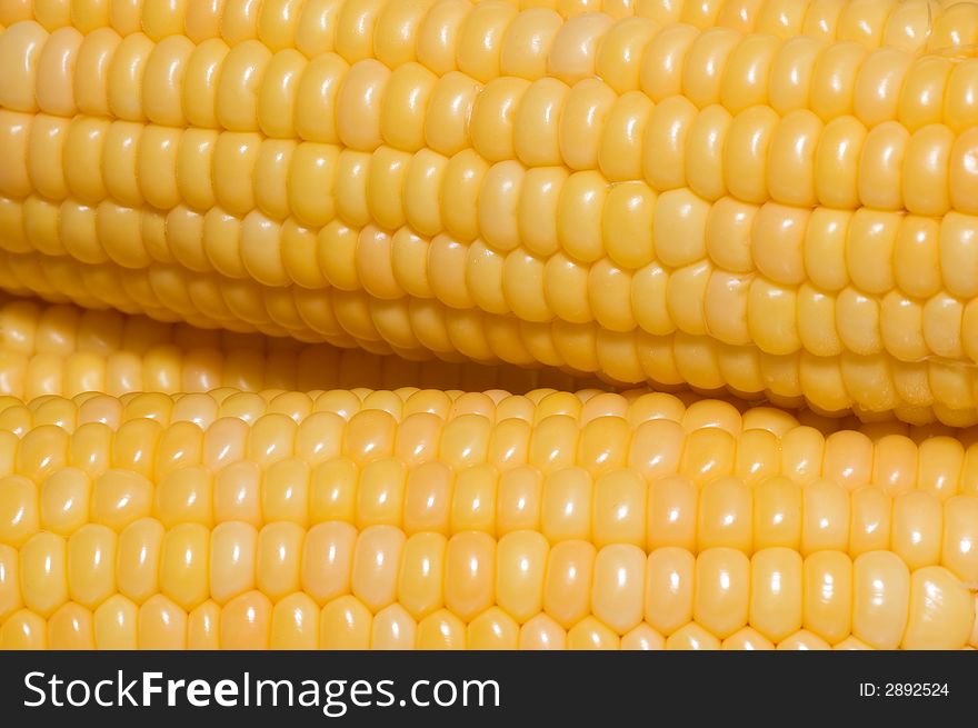 Yellow fresh sweet corn background