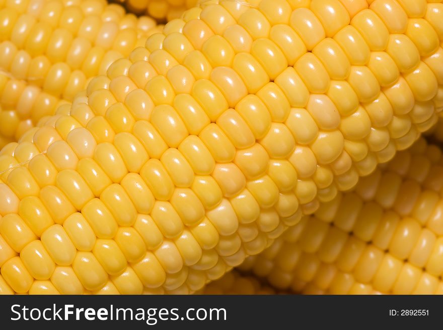 Yellow fresh sweet corn background