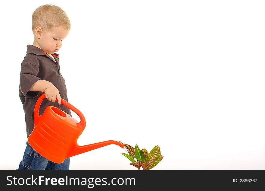 Boy watering the flower. white background. Boy watering the flower. white background