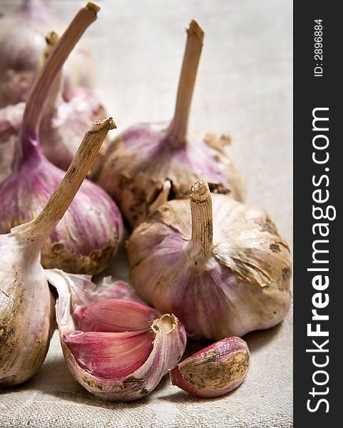 Fresh garlic on gray cloth background. Fresh garlic on gray cloth background
