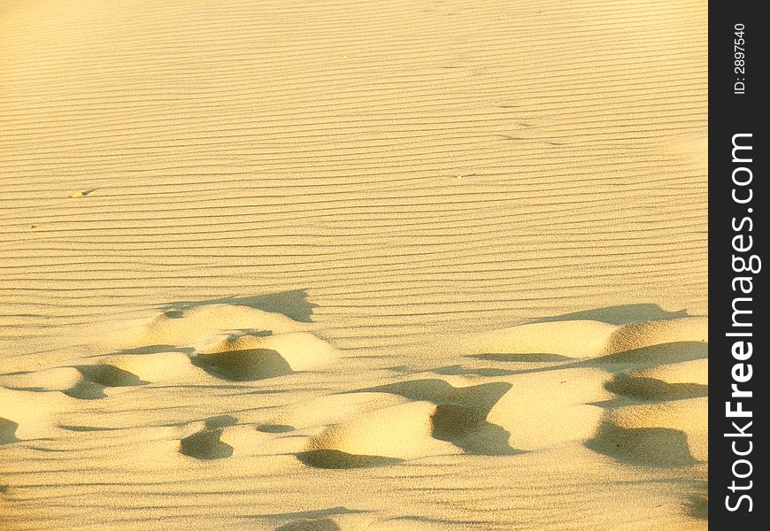 Sand dunes, the 
 Lagoon , Lithuania