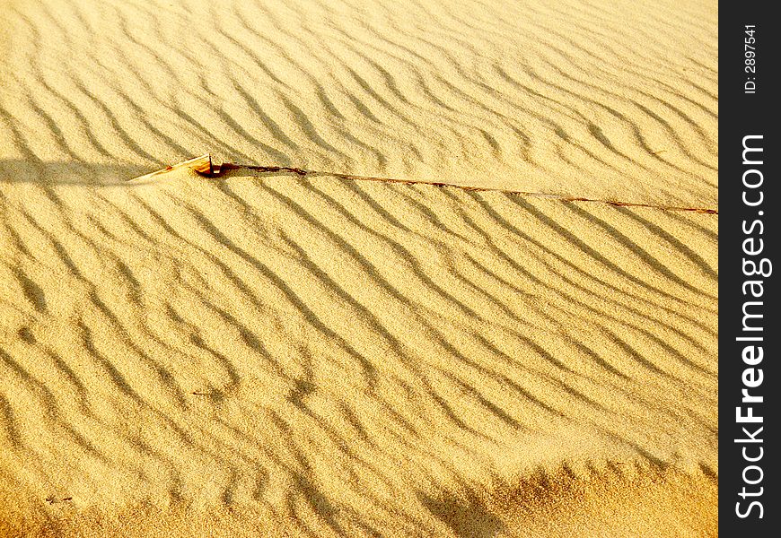 Sand dunes, the 
 Lagoon , Lithuania