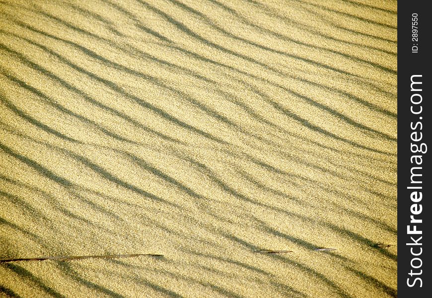 Sand dunes, the 
 Lagoon , Lithuania