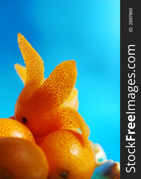 Delicious fresh citrus fruit on blue background