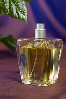Bottle Of Perfume Royalty Free Stock Photos Bottle Of Perfume Royalty Free Stock Photos