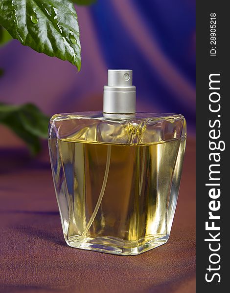Bottle of perfume
