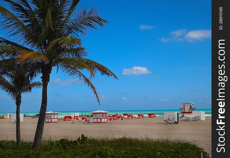 Tropical Beach Resort Landscape