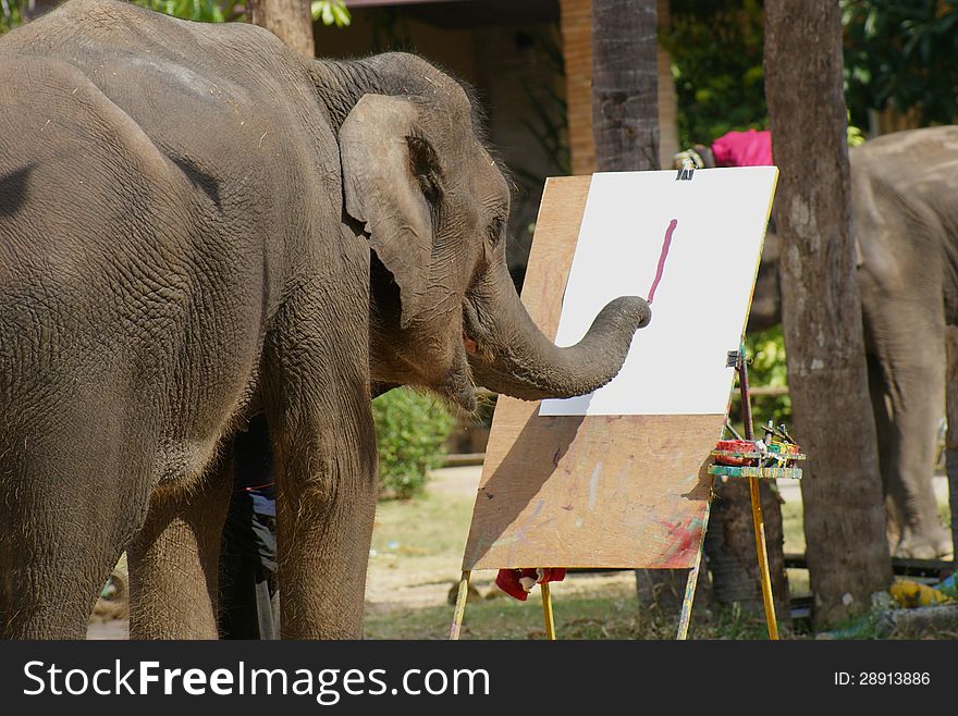 The elephant is painting show at Mahout village in Thailand