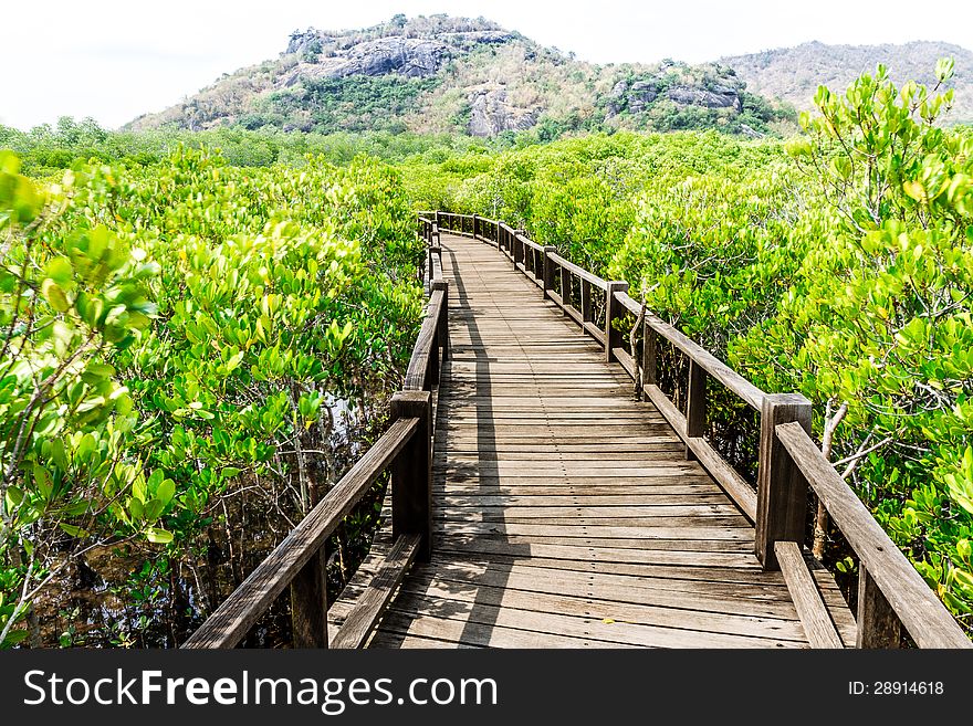 A Wooden Bridge On Mangrove Forest