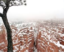 Bryce Canyon In Winter Royalty Free Stock Photography Bryce Canyon In Winter Royalty Free Stock Photography
