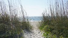 Sand Dunes And Sea Oats Royalty Free Stock Photos Sand Dunes And Sea Oats Royalty Free Stock Photos