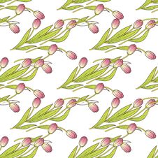 Tulips Royalty Free Stock Image Tulips Royalty Free Stock Image