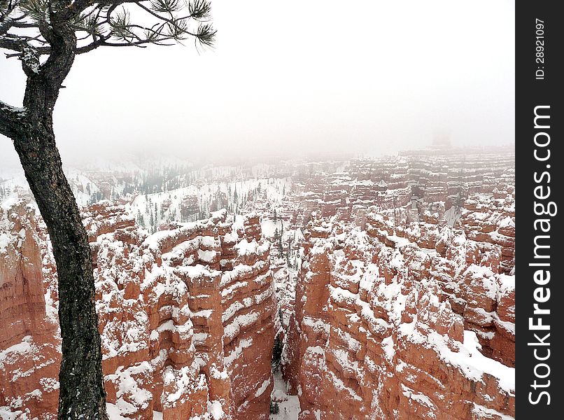 View of Bryce Canyon National Park, in southern Utah. This shot was taken during a snow storm. View of Bryce Canyon National Park, in southern Utah. This shot was taken during a snow storm.