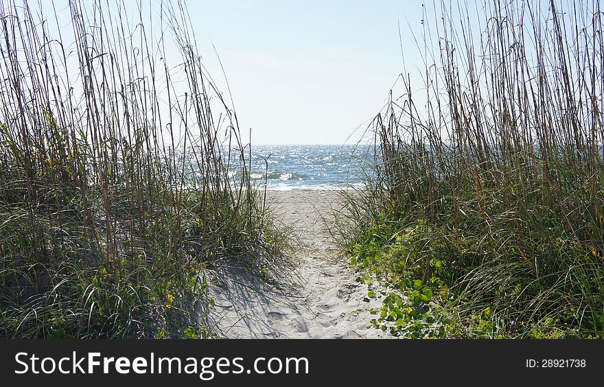 Sand dunes and sea oats