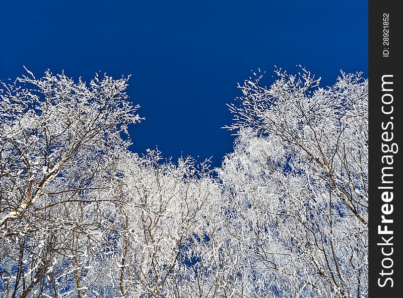 Hoarfrost