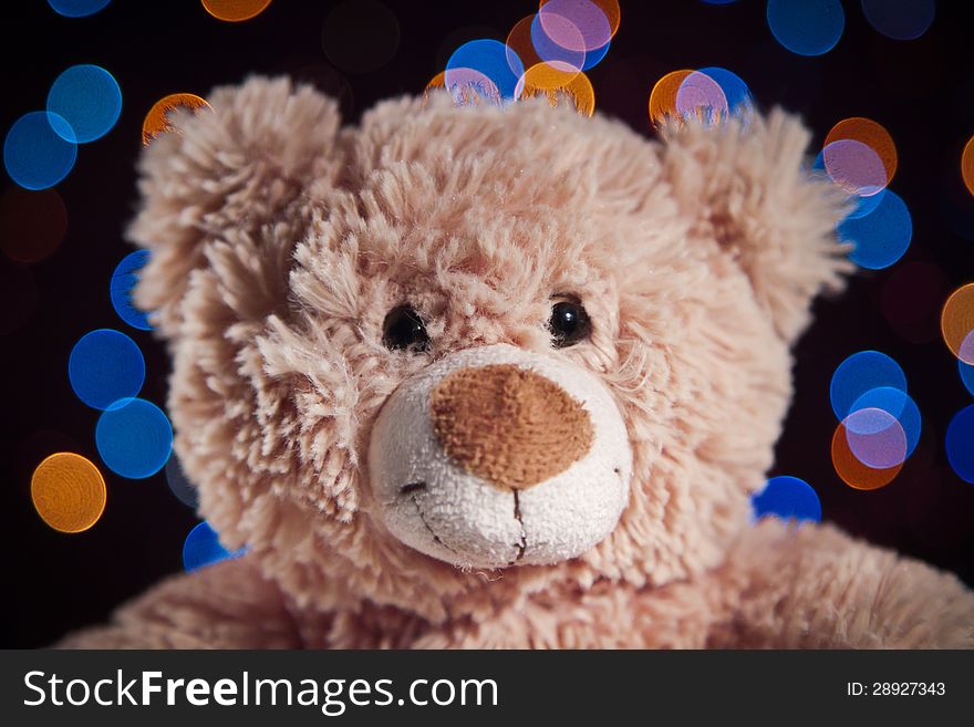 Bear On A Bright Background