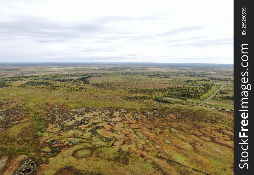 A Bog Near The Town Of Usinsk