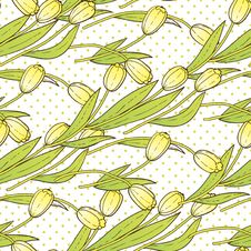 Tulips Royalty Free Stock Images Tulips Royalty Free Stock Images