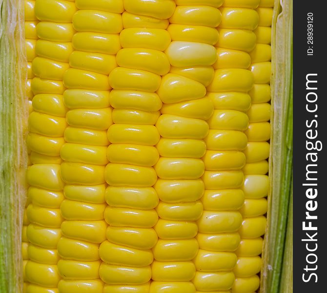 Close up of corn cob. Close up of corn cob