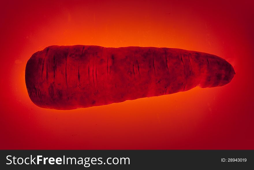 Carrots. glowing orange background.bright