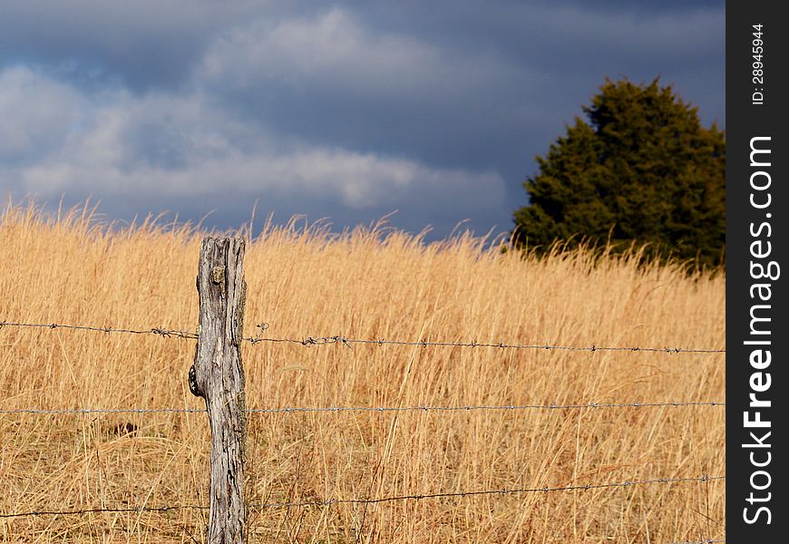 Sunlight And Dark Clouds On A Field Of Sage.