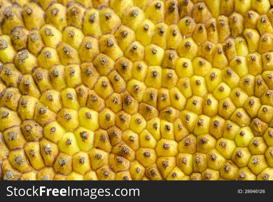 Close up of jack fruit skin texture