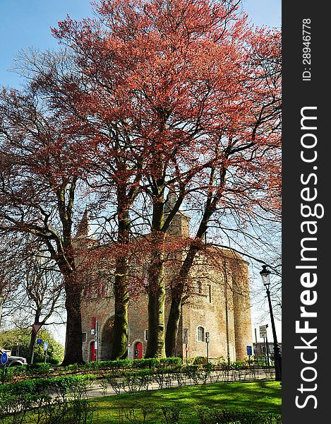 Spring tree and gate of Brugge, Belgium