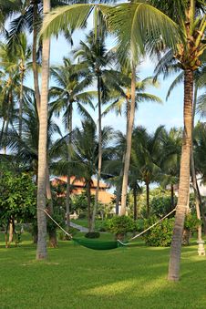 Hammock In Manicured Park Garden Royalty Free Stock Photo Hammock In Manicured Park Garden Royalty Free Stock Photo