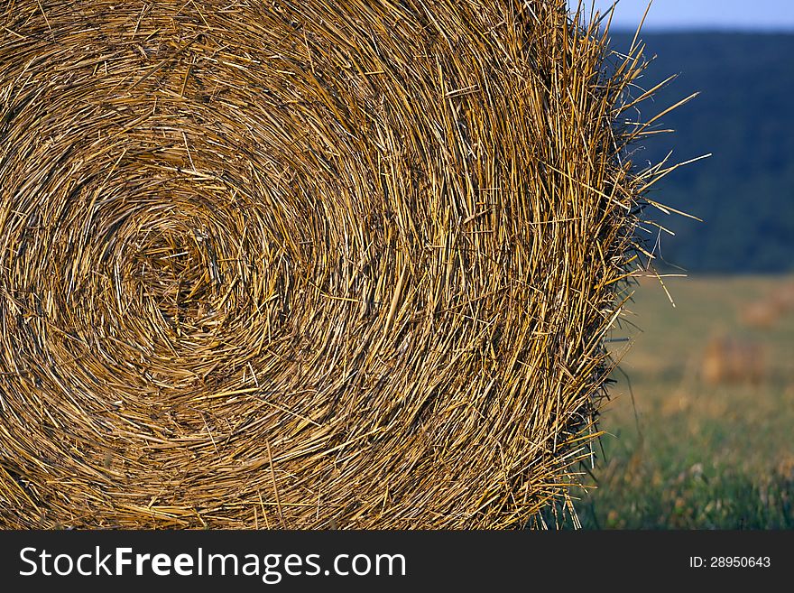 Detail of harvested straw bale in summer. Detail of harvested straw bale in summer