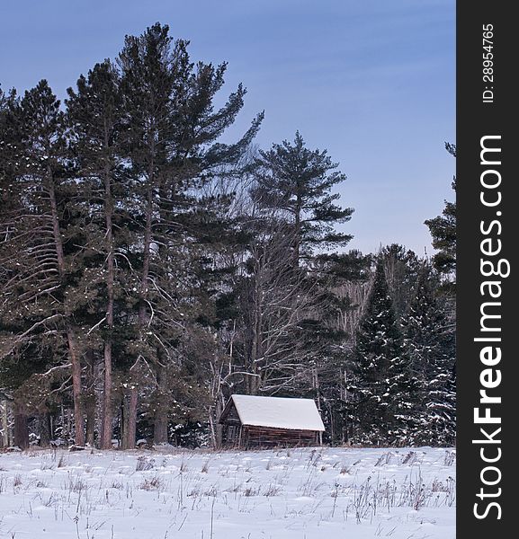 Scenic landscape of a small abandoned cottage nestled among the pine trees. Winter in Wisconsin. Scenic landscape of a small abandoned cottage nestled among the pine trees. Winter in Wisconsin