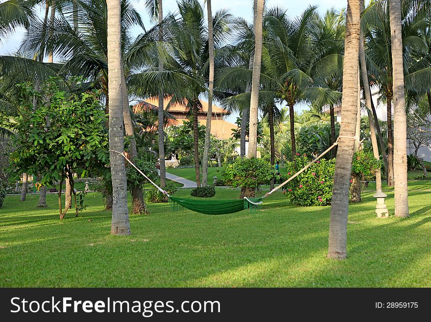 Hammock In  Manicured Park Garden