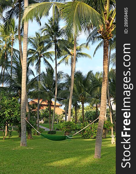 A hammock hanging under coconut tree in manicured park garden in tropics. Vietnam. A hammock hanging under coconut tree in manicured park garden in tropics. Vietnam