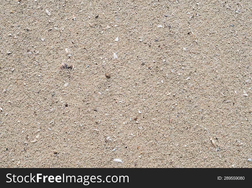River sand with small shells on the beach. View from above