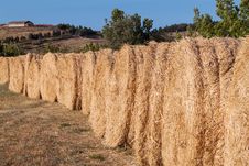 Row Of Bales Of Hay Stock Images Row Of Bales Of Hay Stock Images