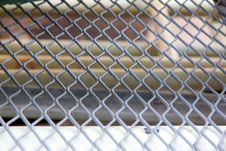 Grid Mesh. Stock Photography Grid Mesh. Stock Photography