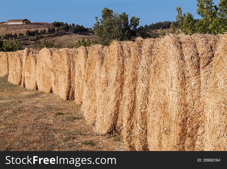 Row Of Bales Of Hay