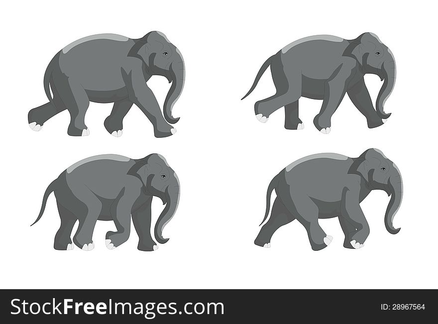 Different poses of the elephant run.