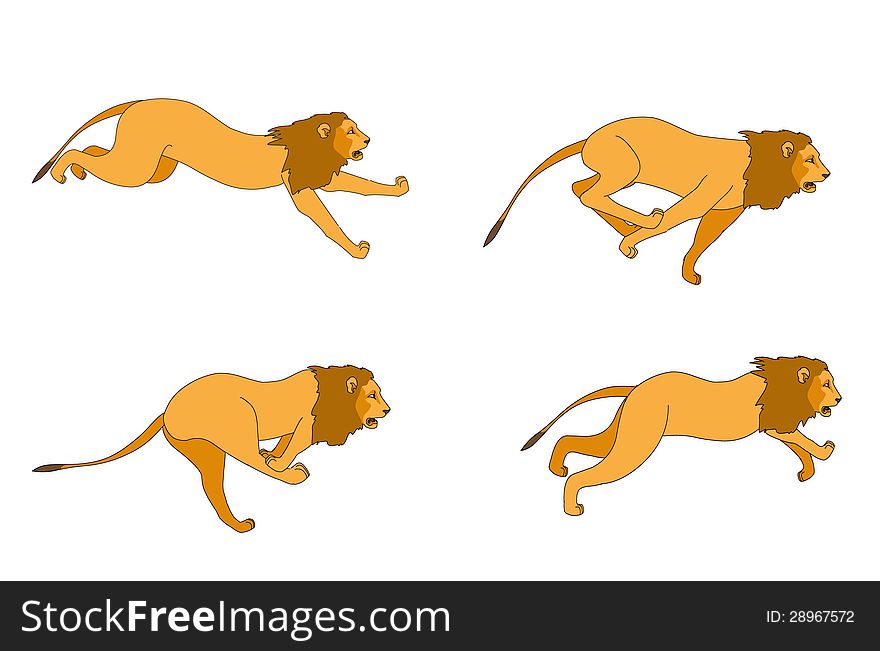 Different poses of a Lion run