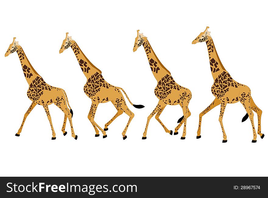 Various poses of a giraffe run