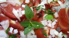 Tomato Salad With Basil Royalty Free Stock Photos Tomato Salad With Basil Royalty Free Stock Photos