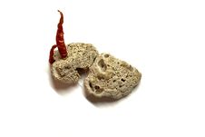 Red Hot Chili Pepper Stock Photo Red Hot Chili Pepper Stock Photo