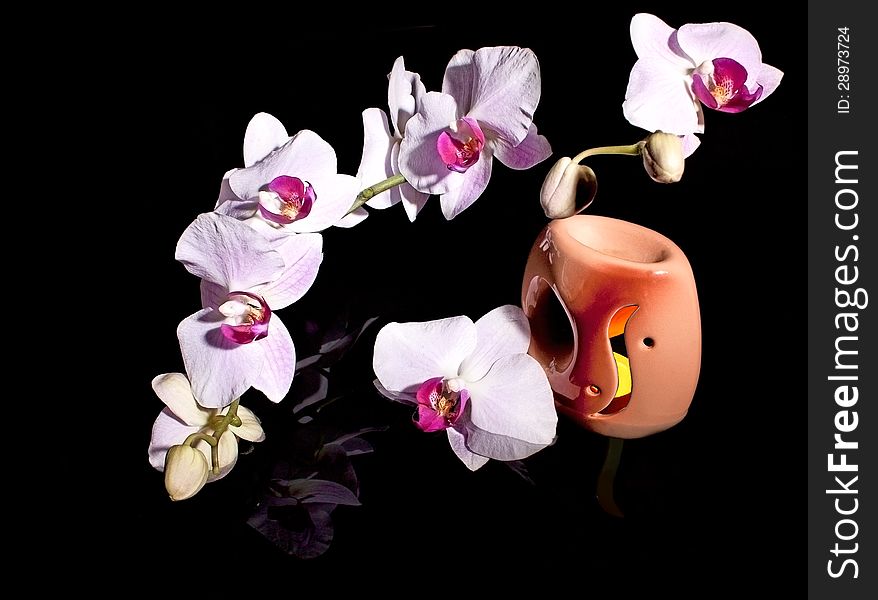 Orchid and a burning candle on a black background